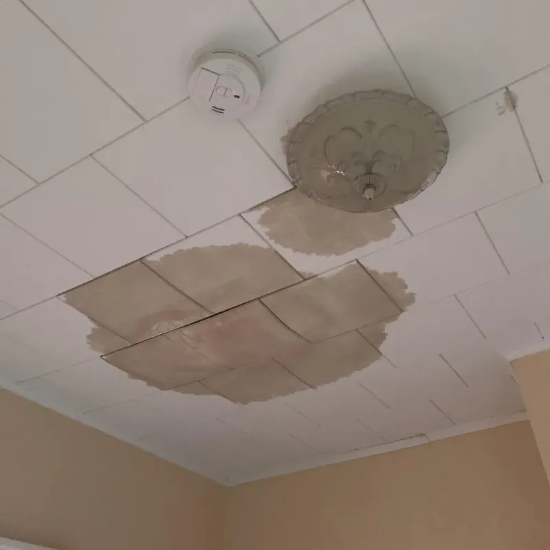 Ceiling Water Damage Repair in Egypt Lake-Leto, FL